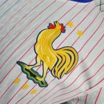 لباس تیم ملی فرانسه 2025 - کیت دوم پلیر - Image 2